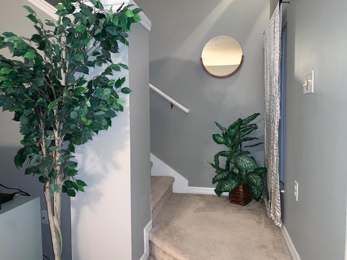 Terra Verde Vacation Rentals Kissimmee Esterno foto